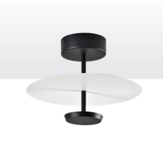 צמודי תקרה 103