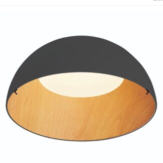 צמודי תקרה 101